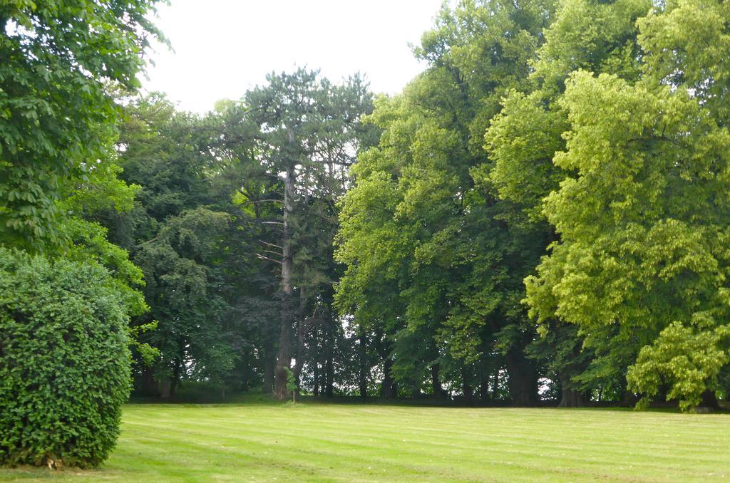 Maison D'Hotes Le Chateau De Puxe Exteriör bild