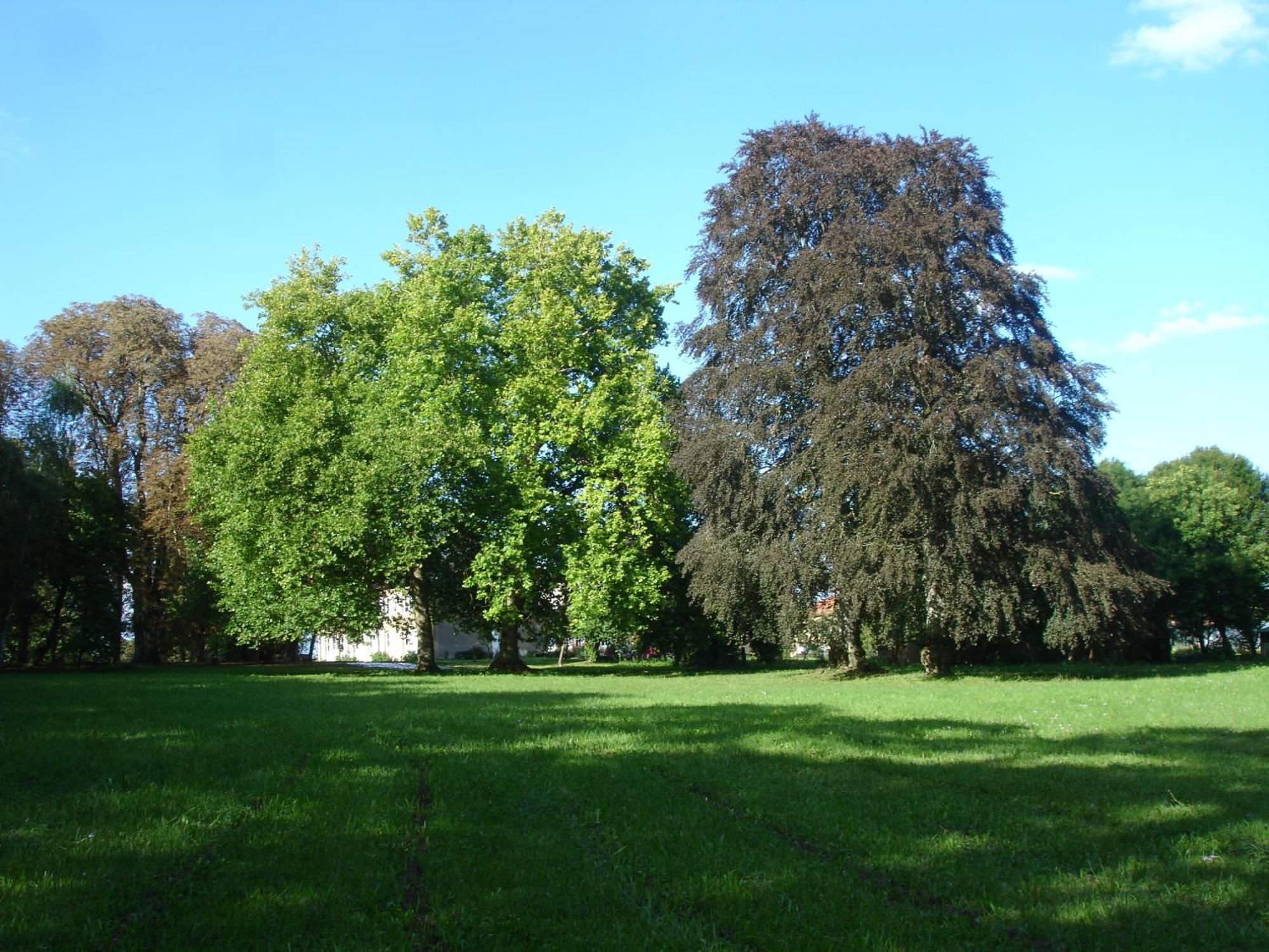 Maison D'Hotes Le Chateau De Puxe Exteriör bild